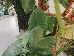 -开间茶馆·围炉煮茶