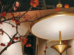 -佬肥猫(国华广场店)