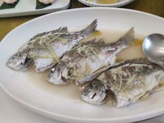 油盐姜丝蒸黄脚腊-花城苑广府菜(海心沙店)