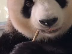 -栾川竹海野生动物园