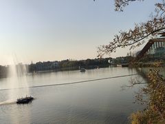 -上海长兴岛郊野公园