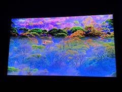 -罗红摄影艺术馆