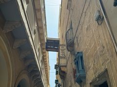 -上巴拉卡花园和下巴拉卡花园