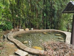 -罗浮山嘉宝田森林温泉度假酒店