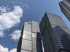 -悦厅·下午茶(杭州柏悦酒店)