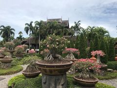 -东芭乐园