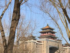 -莲花池公园