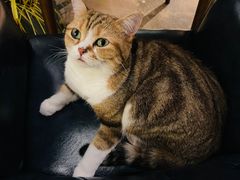 -咖法森林·咖啡  酒吧(天河店)