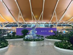 -上海浦东国际机场-T2航站楼