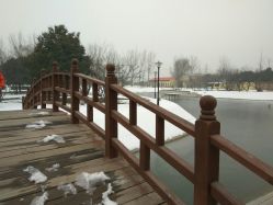 -上美四季动物农场