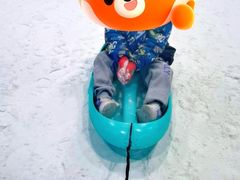 -世界之窗阿尔卑斯冰雪世界