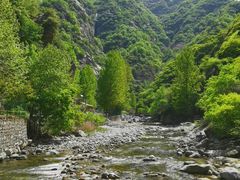 -沣峪森林公园龙潭戏水景区