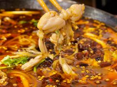-鸿顺老铁锅美蛙鱼府(解放碑店)
