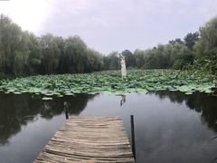 -日照海滨国家森林公园