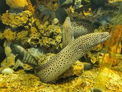 -大连老虎滩海洋公园