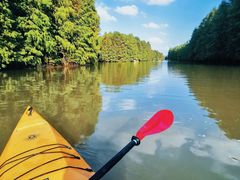 -上海海湾国家森林公园