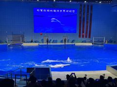 -石家庄极地海洋世界
