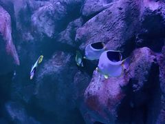 -成都浩海立方海洋公园