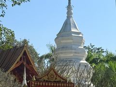 -西双版纳傣族园