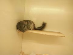 -龙猫仔乐园(惠福东路店)