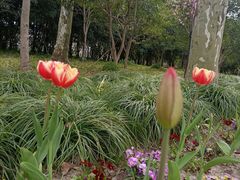 -黄兴公园