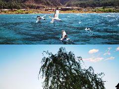 -丽江泸沽湖景区