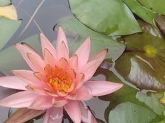 -瓯菜排档·温州海鲜(玕南店)