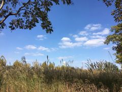 -上海山野camping·户外天幕烧烤·团建拓展营地