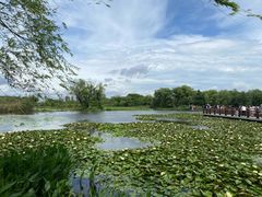 -长兴太湖图影湿地文化园