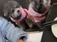 -鹿港小镇(金虹桥国际中心店)