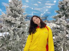 -世界之窗阿尔卑斯冰雪世界