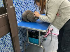 -瑞鹏宠物医院·宠保定点·心脏科·内科(御桥分院)