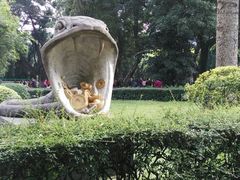 -晓港公园
