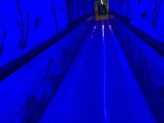 -东方巨龟苑景区