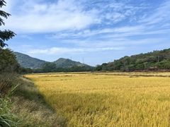 -艾米稻香小镇