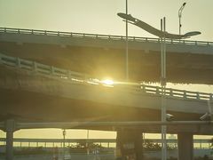-陈氏肥蛤(小纬六路总店)