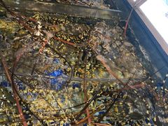 -雅盛品931海鲜酒家