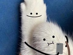 -傣妹火锅(四川北路店)