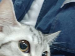 -一些柠檬一些茶(西村店)