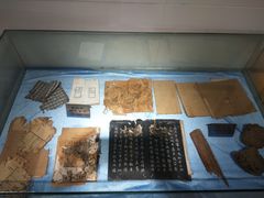 -上海昆虫博物馆