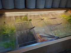 -火炉火自助餐(枫蓝国际店)