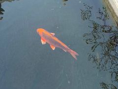 -西安市广仁寺