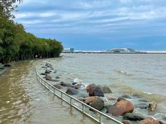 -上海吴淞炮台湾国家湿地公园