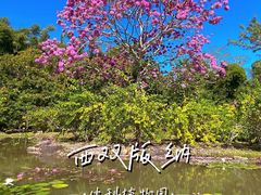 -中国科学院西双版纳热带植物园