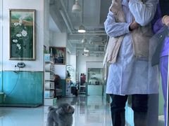 -欧奕国际动物医院