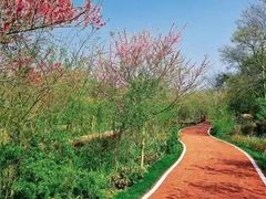 -东郊湿地公园