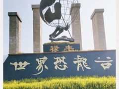-世界恐龙谷景区