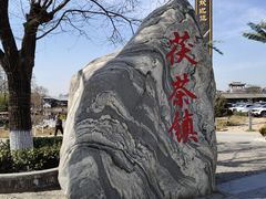 -茯茶镇