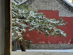 -泰山风景名胜区-普照寺