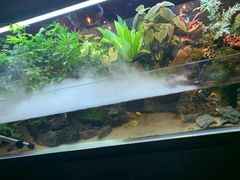 -牛品福潮汕牛肉火锅(旺庄店)